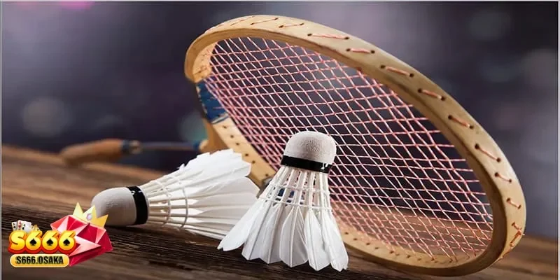 Cá cược cầu lông