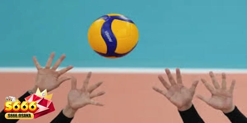 cá cược bóng chuyền cá cược bóng chuyền