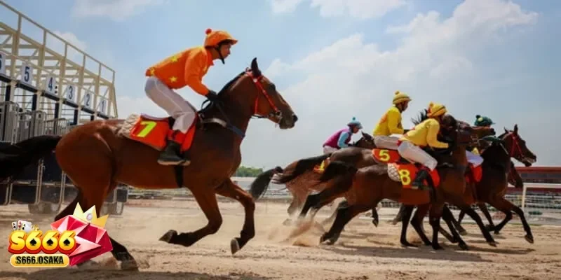 cá cược đua ngựa cá cược đua ngựa