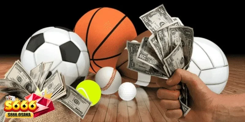 cá cược bóng rổ